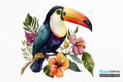 Watercolor Toucans PNG Clipart Product Image 1