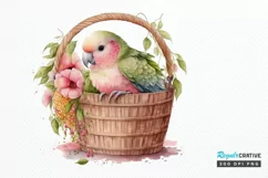Watercolor Cute Pink Parrot in Basket PNG Clipart Product Image 1