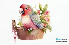 Watercolor Cute Pink Parrot in Basket PNG Clipart Product Image 1