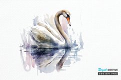 Watercolor Swan PNG Clipa Product Image 1