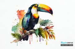 Watercolor Toucans PNG Clipart Product Image 1