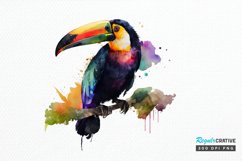 Watercolor Toucans PNG Clipart Product Image 1