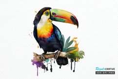 Watercolor Toucans PNG Clipart Product Image 1
