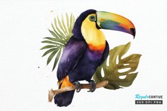 Watercolor Toucans PNG Clipart Product Image 1