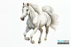 Beautiful White Horse Watercolo PNG Clipart Product Image 1