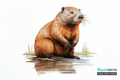 Woodland Baby Animals PNG Clipart Product Image 1