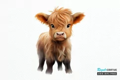 Baby Highland Cow Illustrations PNG Clipart Product Image 1