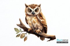 Woodland Baby Animals PNG Clipart Product Image 1