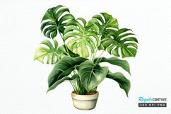 Houseplants Pot Sublimation PNG Clipart Product Image 1