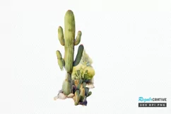 Cactus House Watercolor Sublimation PNG Clipart Product Image 1