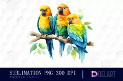 Watercolor Family of Three Parrots Clipart Product Image 1