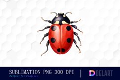 Watercolor Ladybug Clipart Product Image 1