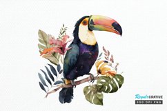 Watercolor Toucans PNG Clipart Product Image 1