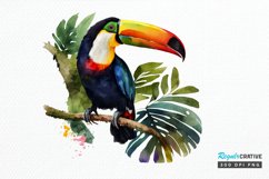 Watercolor Toucans PNG Clipart Product Image 1