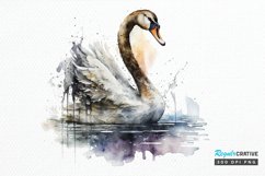 Watercolor Swan PNG Clipa Product Image 1