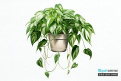 Houseplants Pot Sublimation PNG Clipart Product Image 1
