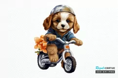 Puppy Riding Bike Sublimation PNG Clipart Product Image 1