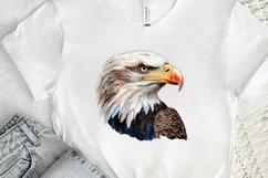 Sketch 4th of july PNG Clipart Product Image 2