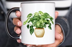 Houseplants Pot Sublimation PNG Clipart Product Image 2