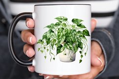 Houseplants Pot Sublimation PNG Clipart Product Image 2