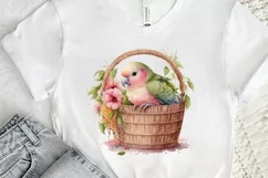 Watercolor Cute Pink Parrot in Basket PNG Clipart Product Image 2