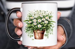 Houseplants Pot Sublimation PNG Clipart Product Image 2