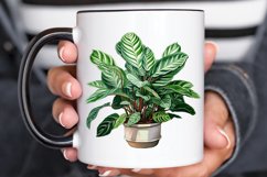 Houseplants Pot Sublimation PNG Clipart Product Image 2
