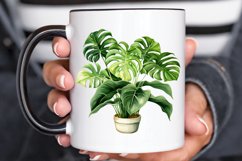 Houseplants Pot Sublimation PNG Clipart Product Image 2