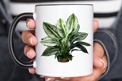 Houseplants Pot Sublimation PNG Clipart Product Image 2