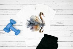 Watercolor Swan PNG Clipa Product Image 2