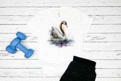 Watercolor Swan PNG Clipa Product Image 2