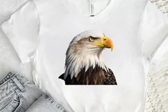 Sketch 4th of july PNG Clipart Product Image 2