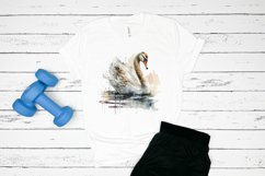 Watercolor Swan PNG Clipa Product Image 2