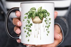 Houseplants Pot Sublimation PNG Clipart Product Image 2