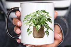 Houseplants Pot Sublimation PNG Clipart Product Image 2