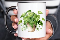 Houseplants Pot Sublimation PNG Clipart Product Image 2