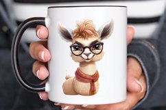 Funny Animal PNG Clipart Product Image 2