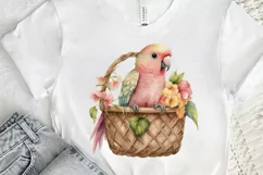 Watercolor Cute Pink Parrot in Basket PNG Clipart Product Image 2