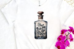Luxury Vintage Bottle PNG Clipart Product Image 3