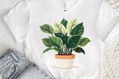 Houseplants Pot Sublimation PNG Clipart Product Image 3