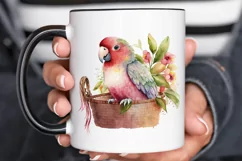 Watercolor Cute Pink Parrot in Basket PNG Clipart Product Image 3