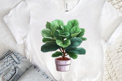 Houseplants Pot Sublimation PNG Clipart Product Image 3