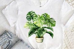 Houseplants Pot Sublimation PNG Clipart Product Image 3