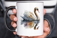 Watercolor Swan PNG Clipa Product Image 3
