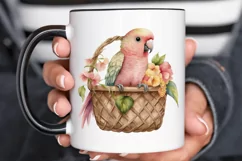 Watercolor Cute Pink Parrot in Basket PNG Clipart Product Image 3