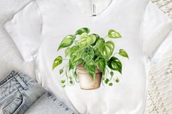 Houseplants Pot Sublimation PNG Clipart Product Image 3