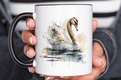 Watercolor Swan PNG Clipa Product Image 3