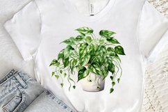 Houseplants Pot Sublimation PNG Clipart Product Image 3