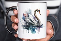 Watercolor Swan PNG Clipa Product Image 3