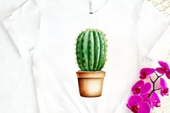 Cactus House Watercolor Sublimation PNG Clipart Product Image 3